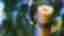 img-0aa172722ffb1cce79696e6b672d5cb3.jpg