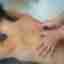 Massage du dos