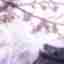 img-3dab146fb3340aba76ed175106deba2b.jpg