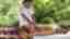 img-4bf3e56796016b94df8cdb4c5c4ed6a7.jpg