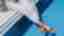 img-8db2738b876c1b8b7fbaff571580bfa3.jpg