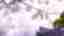 img-b6e608b6f7e7ecec14a858cba5759e94.jpg